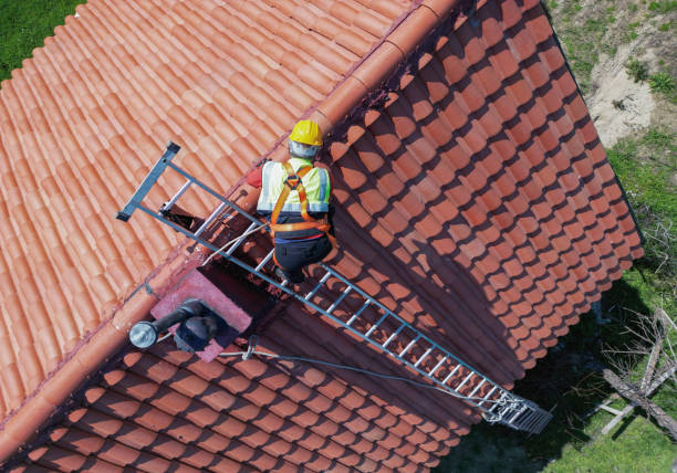 Best Roof Moss and Algae Removal  in Hacienda Heights, CA